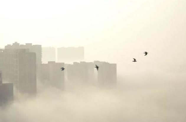 在人造空气负离子的环境，可明显见到设备、场地上飘尘的沉降