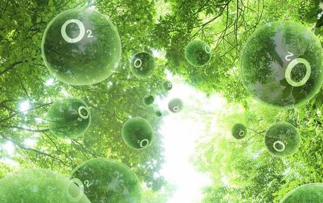负氧离子是一种带负电荷的氧离子 负氧离子是一种带负电荷的氧离子