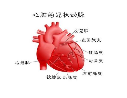 生态级小粒径负离子能更轻易透过血脑屏障